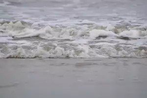 Kuchyn Bila Se Drevem