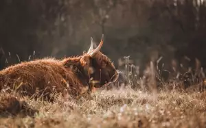 Jak Zablokovat Občanský Průkaz